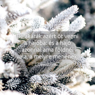 Picture 05 - János 6:21 KAR - Be akarák azért õt venni a hajóba: és a - Bible Verse Picture
