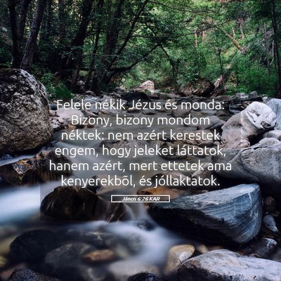 Picture 05 - János 6:26 KAR - Felele nékik Jézus és monda: Bizony, bizony - Bible Verse Picture