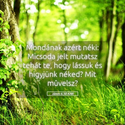 Picture 05 - János 6:30 KAR - Mondának azért néki: Micsoda jelt mutatsz - Bible Verse Picture
