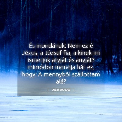 Picture 05 - János 6:42 KAR - És mondának: Nem ez-é Jézus, a József fia, a - Bible Verse Picture