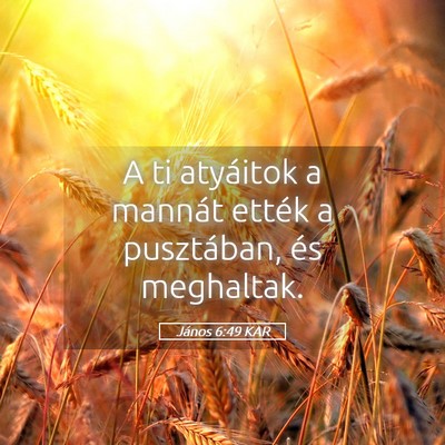 Picture 05 - János 6:49 KAR - A ti atyáitok a mannát ették a pusztában, és - Bible Verse Picture