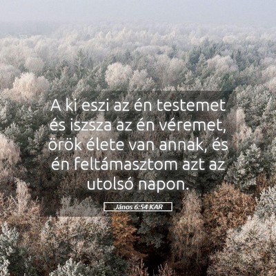 Picture 05 - János 6:54 KAR - A ki eszi az én testemet és iszsza az én - Bible Verse Picture