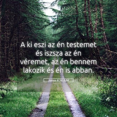 Picture 05 - János 6:56 KAR - A ki eszi az én testemet és iszsza az én - Bible Verse Picture