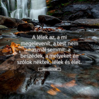 Picture 05 - János 6:63 KAR - A lélek az, a mi megelevenít, a test nem - Bible Verse Picture