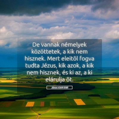 Picture 05 - János 6:64 KAR - De vannak némelyek közöttetek, a kik nem - Bible Verse Picture