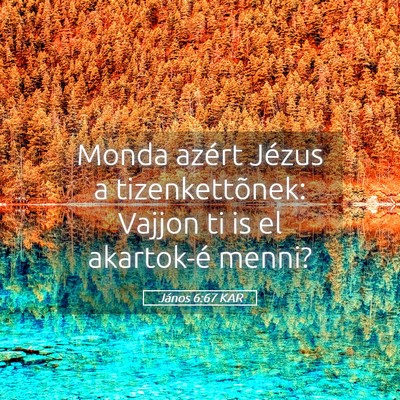 Picture 05 - János 6:67 KAR - Monda azért Jézus a tizenkettõnek: Vajjon ti - Bible Verse Picture