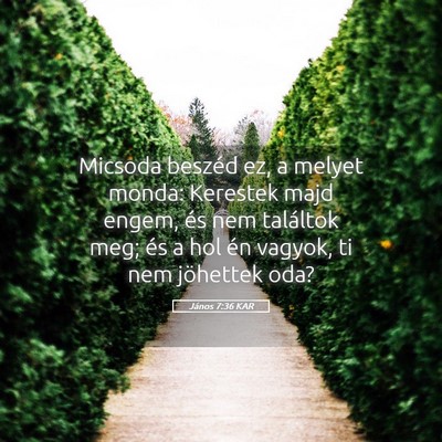 Picture 05 - János 7:36 KAR - Micsoda beszéd ez, a melyet monda: Kerestek majd - Bible Verse Picture