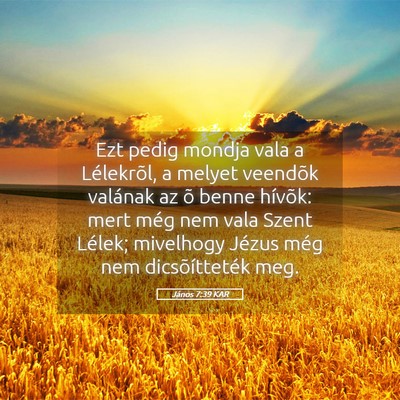 Picture 05 - János 7:39 KAR - Ezt pedig mondja vala a Lélekrõl, a melyet - Bible Verse Picture