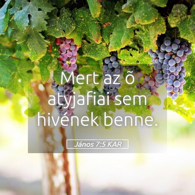 Picture 05 - János 7:5 KAR - Mert az õ atyjafiai sem hivének - Bible Verse Picture
