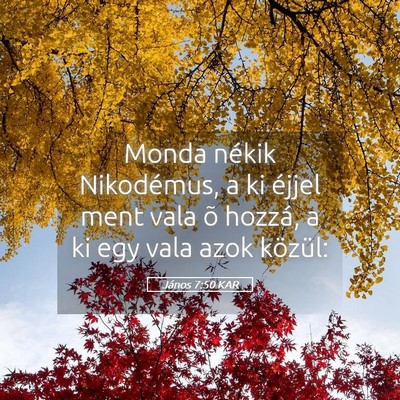 Picture 05 - János 7:50 KAR - Monda nékik Nikodémus, a ki éjjel ment vala õ - Bible Verse Picture