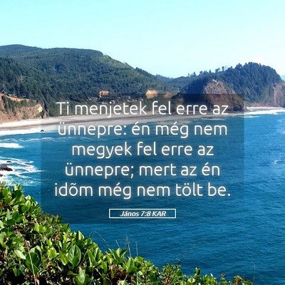 Picture 05 - János 7:8 KAR - Ti menjetek fel erre az ünnepre: én még nem - Bible Verse Picture