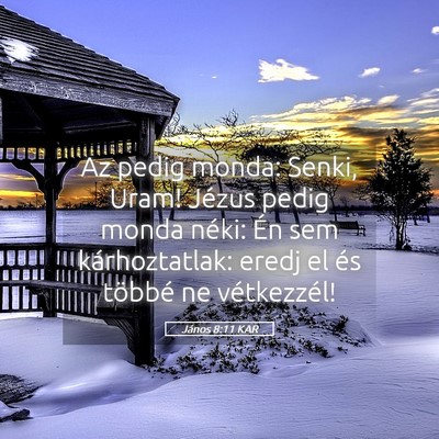 Picture 05 - János 8:11 KAR - Az pedig monda: Senki, Uram! Jézus pedig monda - Bible Verse Picture