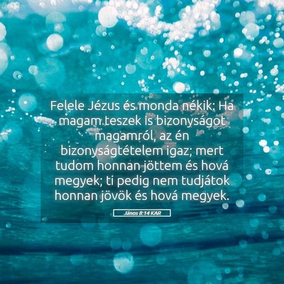 Picture 05 - János 8:14 KAR - Felele Jézus és monda nékik: Ha magam teszek - Bible Verse Picture