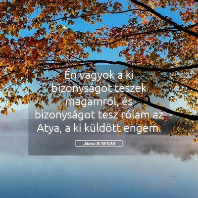 Picture 05 - János 8:18 KAR - Én vagyok a ki bizonyságot teszek magamról, - Bible Verse Picture