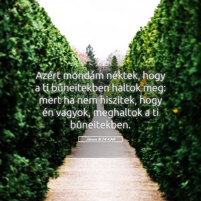 Picture 05 - János 8:24 KAR - Azért mondám néktek, hogy a ti bûneitekben - Bible Verse Picture