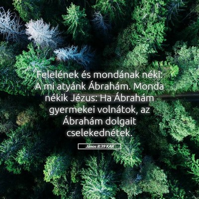 Picture 05 - János 8:39 KAR - Felelének és mondának néki: A mi atyánk - Bible Verse Picture