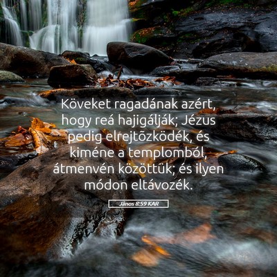 Picture 05 - János 8:59 KAR - Köveket ragadának azért, hogy reá - Bible Verse Picture