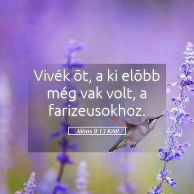 Picture 05 - János 9:13 KAR - Vivék õt, a ki elõbb még vak volt, a - Bible Verse Picture