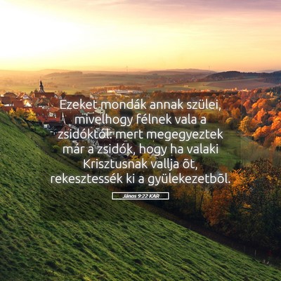 Picture 05 - János 9:22 KAR - Ezeket mondák annak szülei, mivelhogy félnek - Bible Verse Picture