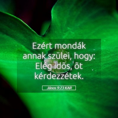Picture 05 - János 9:23 KAR - Ezért mondák annak szülei, hogy: Elég idõs, - Bible Verse Picture