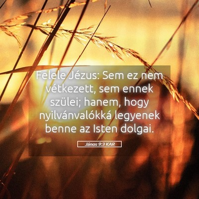 Picture 05 - János 9:3 KAR - Felele Jézus: Sem ez nem vétkezett, sem ennek - Bible Verse Picture