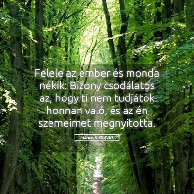 Picture 05 - János 9:30 KAR - Felele az ember és monda nékik: Bizony - Bible Verse Picture