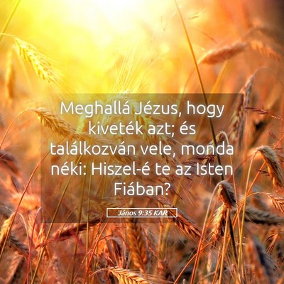 Picture 05 - János 9:35 KAR - Meghallá Jézus, hogy kiveték azt; és - Bible Verse Picture