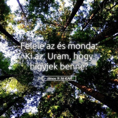 Picture 05 - János 9:36 KAR - Felele az és monda: Ki az, Uram, hogy higyjek - Bible Verse Picture