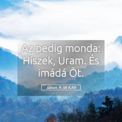 Picture 05 - János 9:38 KAR - Az pedig monda: Hiszek, Uram. És imádá - Bible Verse Picture