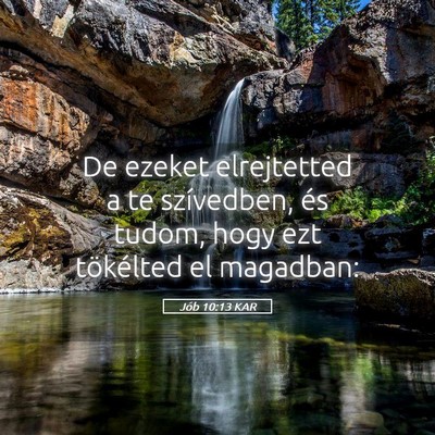 Picture 05 - Jób 10:13 KAR - De ezeket elrejtetted a te szívedben, és tudom, - Bible Verse Picture