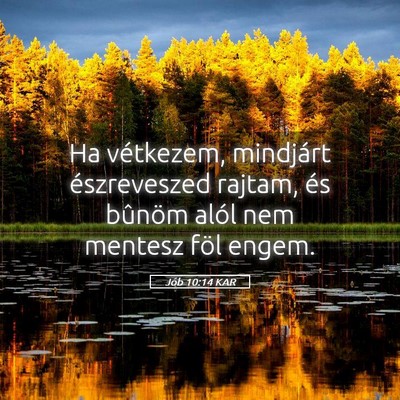 Picture 05 - Jób 10:14 KAR - Ha vétkezem, mindjárt észreveszed rajtam, és - Bible Verse Picture