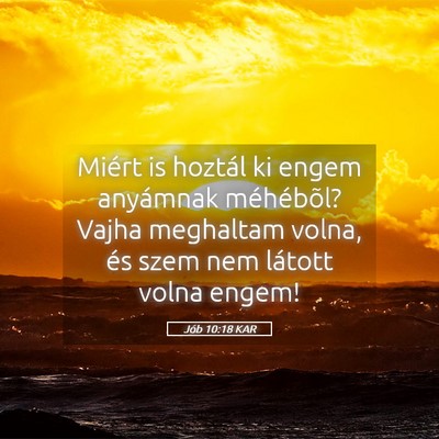 Picture 05 - Jób 10:18 KAR - Miért is hoztál ki engem anyámnak méhébõl? - Bible Verse Picture