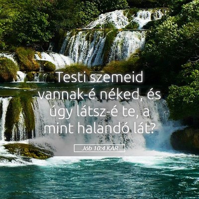 Picture 05 - Jób 10:4 KAR - Testi szemeid vannak-é néked, és úgy - Bible Verse Picture