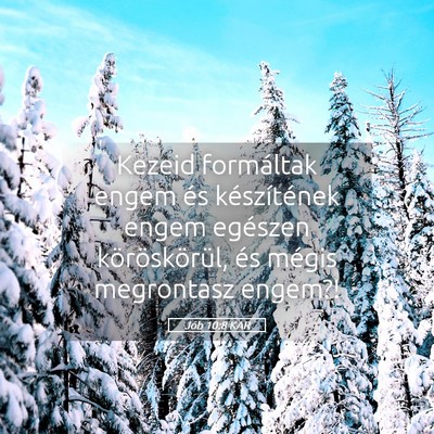 Picture 05 - Jób 10:8 KAR - Kezeid formáltak engem és készítének engem - Bible Verse Picture