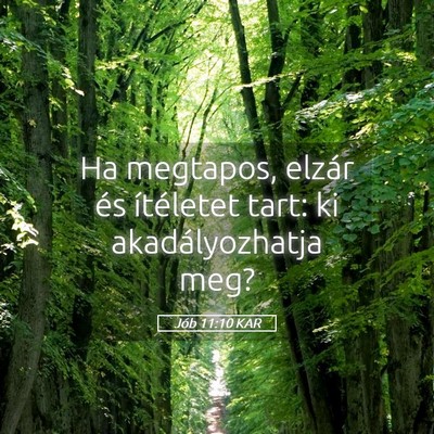 Picture 05 - Jób 11:10 KAR - Ha megtapos, elzár és ítéletet tart: ki - Bible Verse Picture