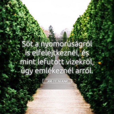 Picture 05 - Jób 11:16 KAR - Sõt a nyomorúságról is elfelejtkeznél, és - Bible Verse Picture