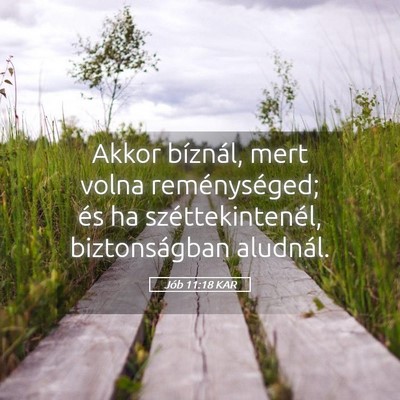 Picture 05 - Jób 11:18 KAR - Akkor bíznál, mert volna reménységed; és ha - Bible Verse Picture