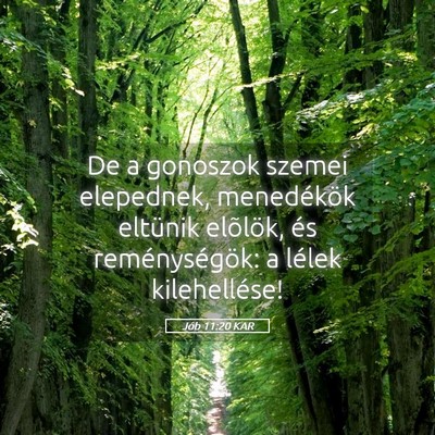 Picture 05 - Jób 11:20 KAR - De a gonoszok szemei elepednek, menedékök - Bible Verse Picture
