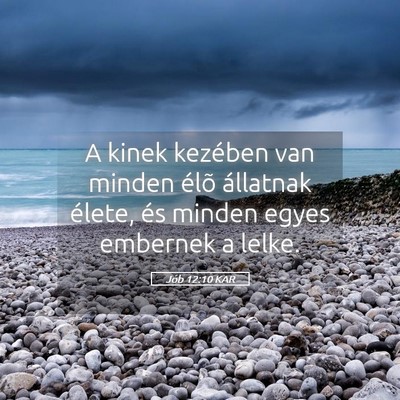 Picture 05 - Jób 12:10 KAR - A kinek kezében van minden élõ állatnak - Bible Verse Picture