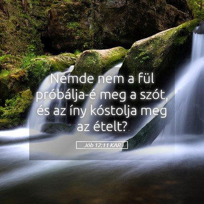 Picture 05 - Jób 12:11 KAR - Nemde nem a fül próbálja-é meg a szót, és - Bible Verse Picture