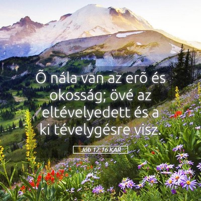 Picture 05 - Jób 12:16 KAR - Õ nála van az erõ és okosság; övé az - Bible Verse Picture