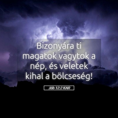 Picture 05 - Jób 12:2 KAR - Bizonyára ti magatok vagytok a nép, és veletek - Bible Verse Picture