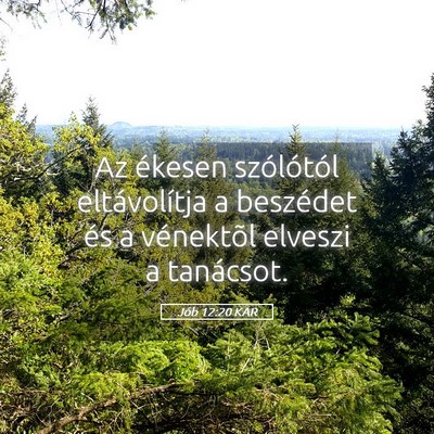 Picture 05 - Jób 12:20 KAR - Az ékesen szólótól eltávolítja a beszédet - Bible Verse Picture