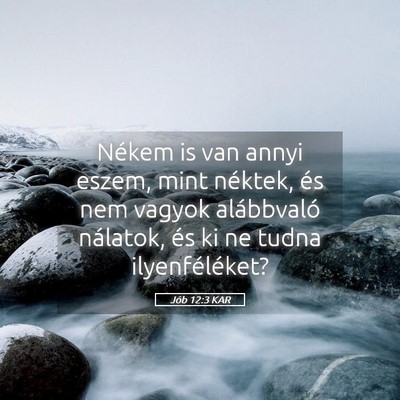 Picture 05 - Jób 12:3 KAR - Nékem is van annyi eszem, mint néktek, és nem - Bible Verse Picture