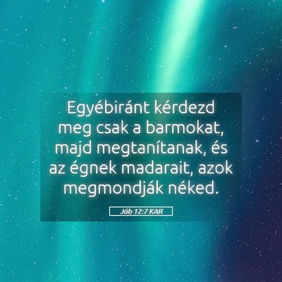 Picture 05 - Jób 12:7 KAR - Egyébiránt kérdezd meg csak a barmokat, majd - Bible Verse Picture