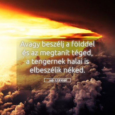 Picture 05 - Jób 12:8 KAR - Avagy beszélj a földdel és az megtanít - Bible Verse Picture