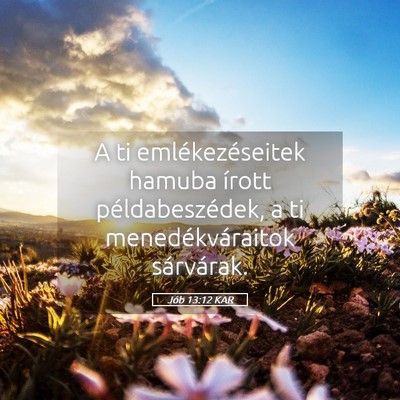 Picture 05 - Jób 13:12 KAR - A ti emlékezéseitek hamuba írott - Bible Verse Picture