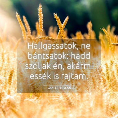 Picture 05 - Jób 13:13 KAR - Hallgassatok, ne bántsatok: hadd szóljak én, - Bible Verse Picture