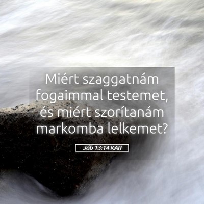 Picture 05 - Jób 13:14 KAR - Miért szaggatnám fogaimmal testemet, és miért - Bible Verse Picture