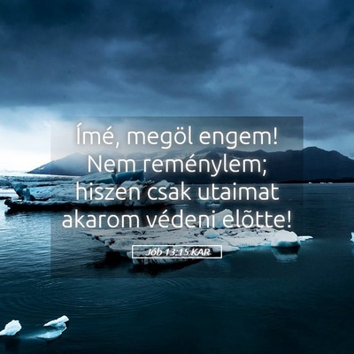 Picture 05 - Jób 13:15 KAR - Ímé, megöl engem! Nem reménylem; hiszen csak - Bible Verse Picture